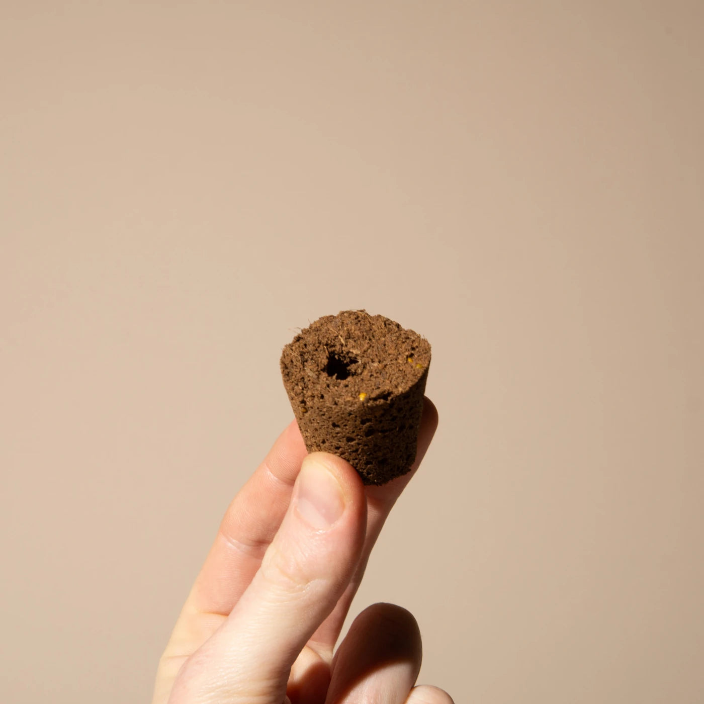 Auto Blackberry Kush® 3er Pack