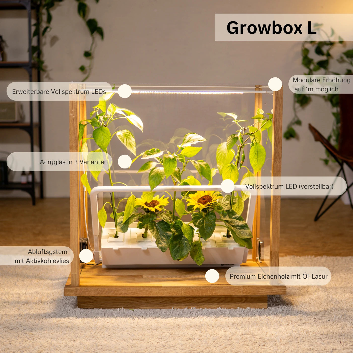 Growbox