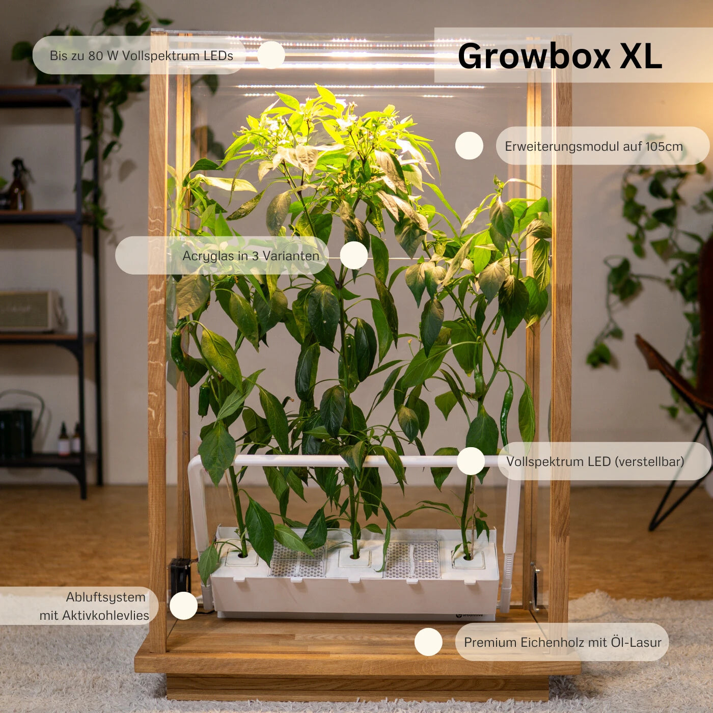 Growbox