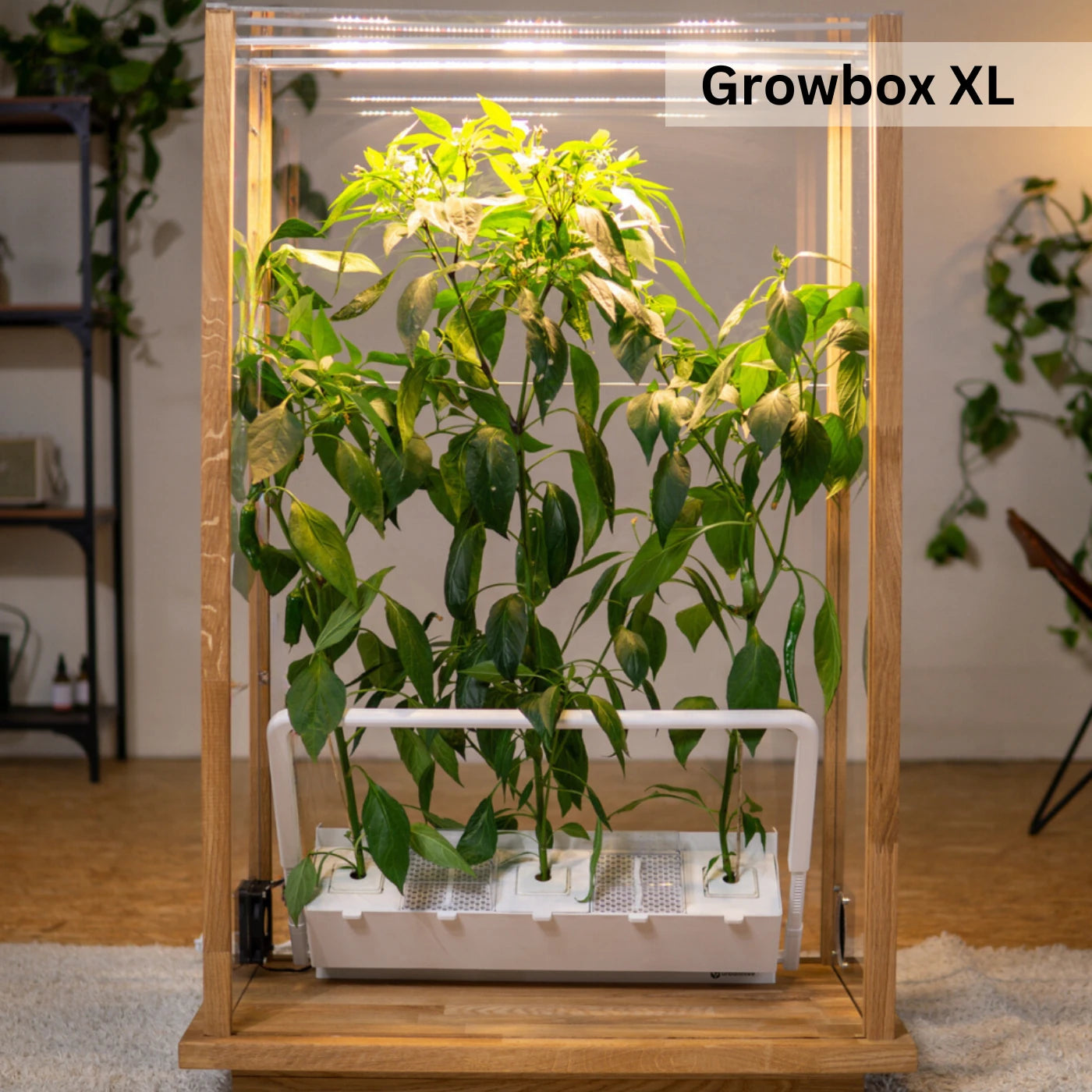 Growbox