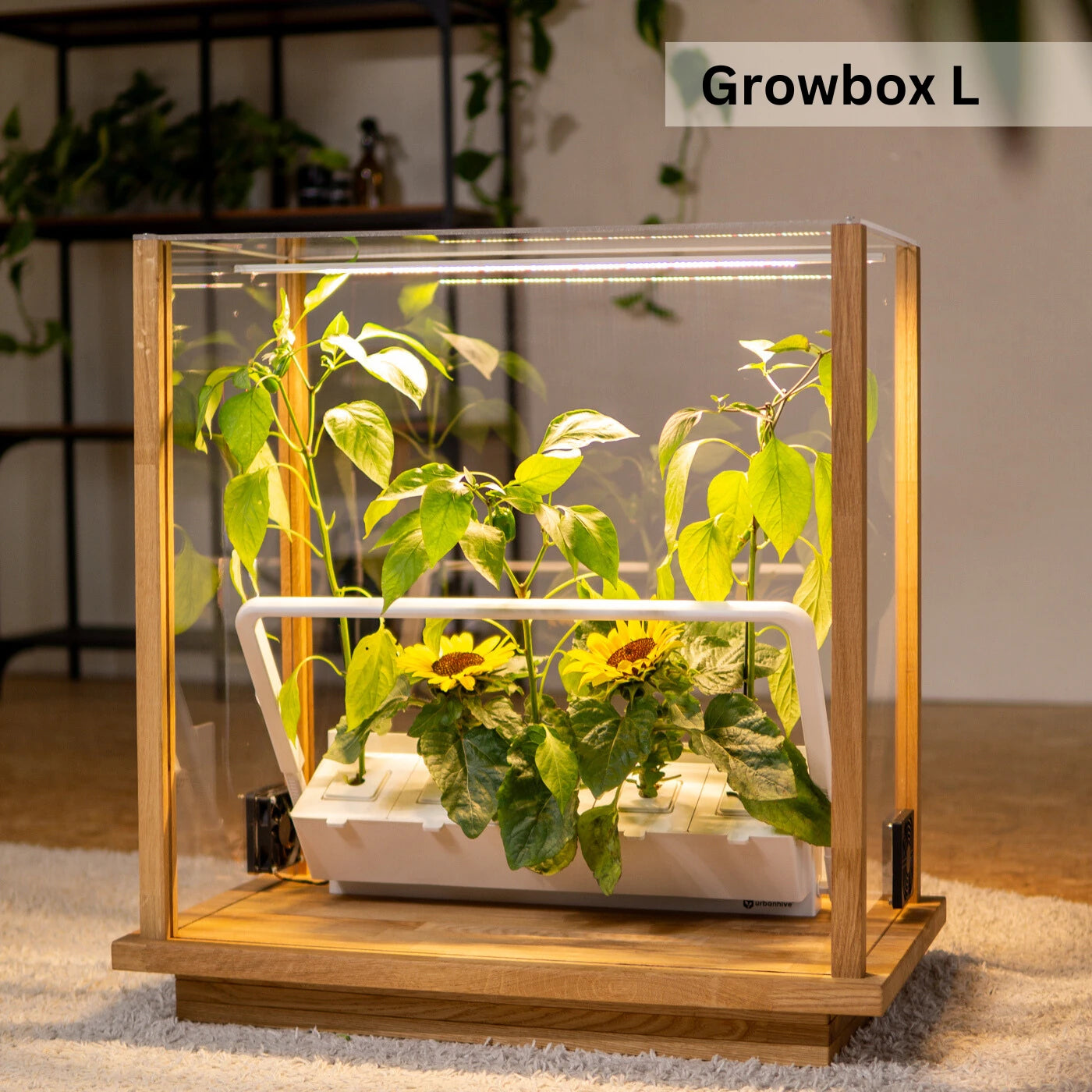 Growbox